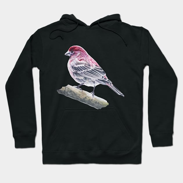 House Finch bird painting (no background) Hoodie by EmilyBickell